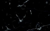aaa marmol negro marquina mini